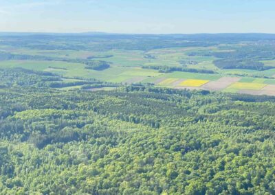 Mischwald bei Marxheim Schweinspoint Nr 4