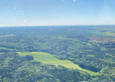Mischwald bei Marxheim Schweinspoint Nr 2