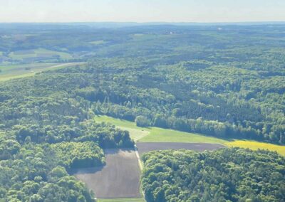 Mischwald bei Marxheim Schweinspoint Nr 3